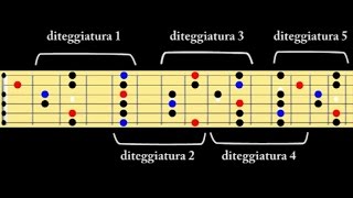 Scala pentatonica Le diteggiature sulla chitarra spiegazione [upl. by Nyre575]