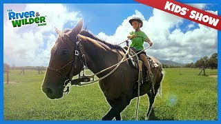 FIRST TIME Little kids ride BIG horses in Hawaii  Family fun [upl. by Krasner]