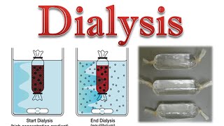 Protein purification  protein dialysis [upl. by Norrehc]