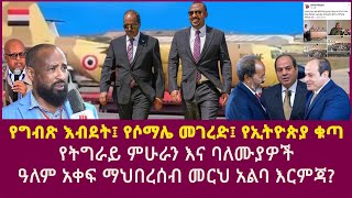 የግብጽ እብደት፤ የሶማሌ መገረድ፤ የኢትዮጵያ ቁጣ የትግራይ ምሁራን እና ባለሙያዎች መርህ አልባ እርምጃEgyptTurkeyEthiopiaUSAEU [upl. by Germayne]