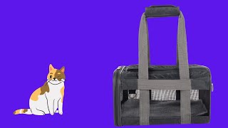 Before You Buy Sherpa Travel Original Deluxe Airline Approved Pet Carrier [upl. by Laroy]