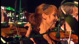 Tisane  Dominic Miller amp Slovenian Philharmonic Orchestra Rok Golob [upl. by Nigen]