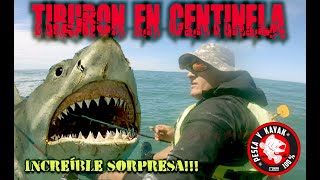 QUE SORPRESA NOS DIO PESCA DE TIBURON GATOPARDO VARIADA CENTINELA DEL MAR TE CUENTO DONDE QUEDA [upl. by Hahsi838]