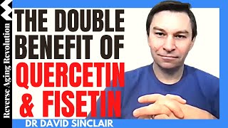 The DOUBLE Benefit of QUERCETIN amp FISETIN  Dr David Sinclair Interview Clips [upl. by Corbett]