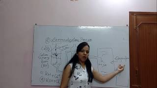 Demineralization processdeionization [upl. by Nidya]