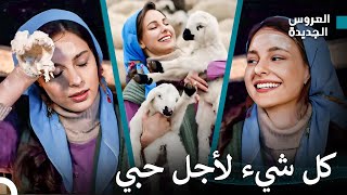 مغامرات العروسة الجديدة  مسلسل العروس الجديدة [upl. by Brina]