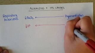 Causes of Blood Alkalosis [upl. by Christoforo253]