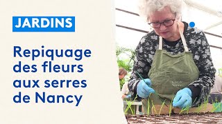 Parcs et jardins  atelier de repiquage de fleurs aux serres municipales [upl. by Yarw]