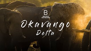 Botswana’s Okavango Delta  Heaven on Earth [upl. by Leugar]