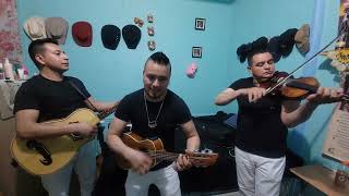 ZAPATEADO EN VIVO DESDE NUEVA YORK TRIO PASION JUVENIL [upl. by Alysoun]