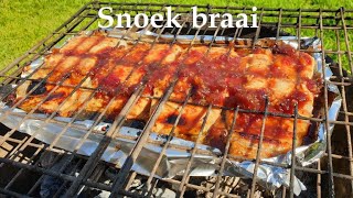 Snoek braai in South Africa  Fish barbecue recipe [upl. by Ellecrad]