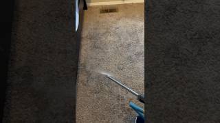 Profunda Limpieza de Carpeta cleaning carpetcleaning homeclean carpet [upl. by Anselme]