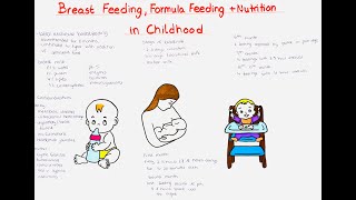 breast feeding formula feeding  nutrition in childhood [upl. by Jacobsen]