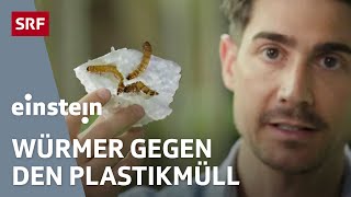 Problem Plastikmüll – 5 mögliche Lösungsansätze für unser Kunststoffproblem  Einstein  SRF [upl. by Volotta655]