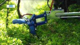 32  steam weeding machine with boom weed control diserbo a vapore con barra ECO GP [upl. by Nylrad]