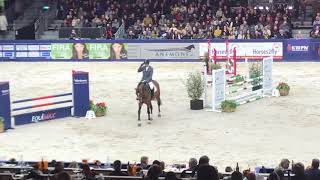 Johnnie Walker VDL Zapatero x Mermus R 2019 KWPN Stallion Show [upl. by Newo]