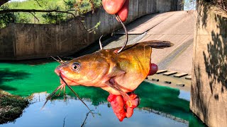 This TINY Spillway was Hiding a NEW PB [upl. by Melosa]