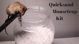 Testing Out The Quicksand Mouse Trap Kit Sold On Amazon [upl. by Nonnac]