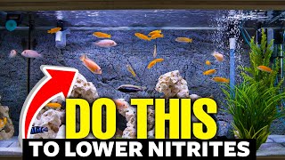 Heres How to Lower Nitrites In Aquariums FAST👨‍🔬 [upl. by Pylle768]