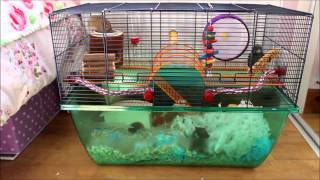 New Gerbilarium  Cage Tour and Review Savic Large Gerbilarium [upl. by Nameerf621]