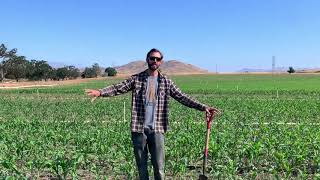 Paicines Ranch crop field Greg Richardson [upl. by Drofdarb]