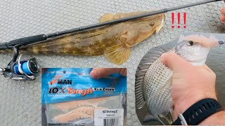 Brisbane River Landbased Lure Fishing  Zman EZ Shrimps work instantly [upl. by Rammus]