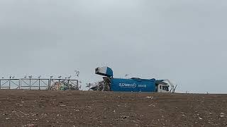 Cleanaway front loader unloading at tip [upl. by Azrim]