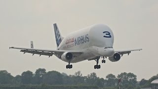 Beluga Airbus A300B4608ST Super Transporter FGSTC arrival at XFW Airbus Hamburg [upl. by Jasmin]