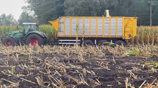 mais hakselen in de drek met claas jaguar 690 [upl. by Mauldon]