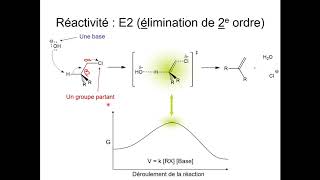 Organique  Chapitre 7  Capsule 1  Élimination des dérivés halogénés [upl. by Yuk573]