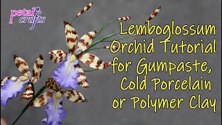 Professional Pastry Chef Teaches Lemboglossum Orchid for Gum paste Cold Porcelain or Polymer Clay [upl. by Kirat]