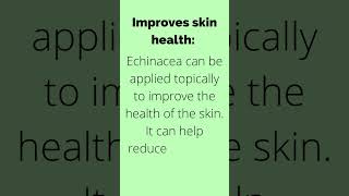 Benefits of Echinacea [upl. by Eila]