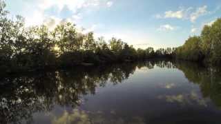 Inflight at Old Oaks Carp France [upl. by Nido301]