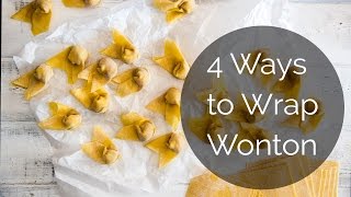 4 Ways to Wrap Wonton [upl. by Anaidirib]