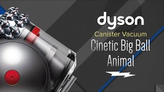 Dyson Cinetic Big Ball Animal Canister Vacuum  21489501 [upl. by Kirstyn]