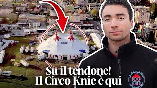 🎪🐎 Su il tendone Il Circo Knie è arrivato in Ticino 🤡💃 [upl. by Harehs]