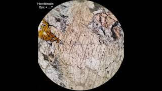 Hornblende tutorial Optical mineralogy [upl. by Candi974]