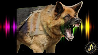 Aggressive Dog Barking Sound Effect  German Shepherd Dog Bark [upl. by Gunnar]