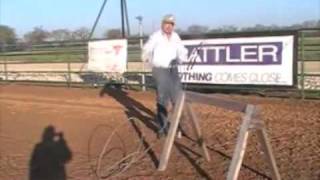 Walt Woodard heeling lesson 2 [upl. by Ttelrats]