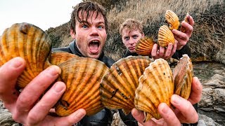 SCALLOP DIVING  Catch amp Cook on the South Coast of England for a 3 course dinner [upl. by Iosep45]