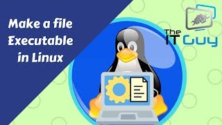 How to Make a file Executable in Linux [upl. by Aivyls]