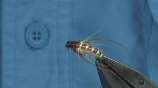 Tying the McPhail Emerger Caddis by Davie McPhail [upl. by Niuq]