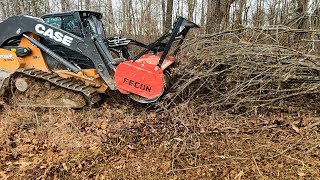 Forestry Mulching with the Case DL550 Minotaur Fecon and Dirt Perfect [upl. by Stew284]