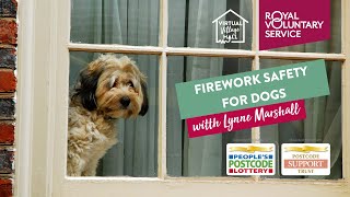 Firework safety for dogs with Lynne Marshall🐶 [upl. by Assirralc]