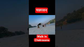 Chakrasana Walk chakrasana yoga back flexibility yogaexercise river [upl. by Whetstone]