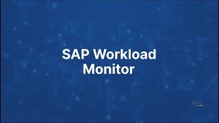 SAP Workload Monitor kurz zusammengefasst [upl. by Nahgrom]