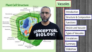 Vacuoles with Dr Sohail Jamil Qureshi  MDCAT Biology [upl. by Annmarie]