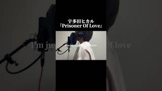 宇多田ヒカル『Prisoner Of Love』cover [upl. by Rehposirhc97]