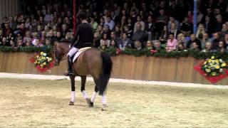 Antango  Sosath Stallion Show 2014 [upl. by Enyawad]