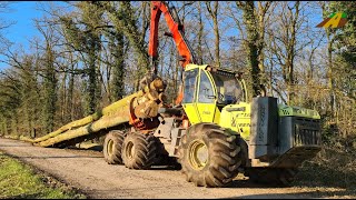 Holzernte 2022  Forstschlepper WF Trac 2460 Stammholz rücken Sturmholz Forstwirtschaft Wood Skidder [upl. by Xylia]